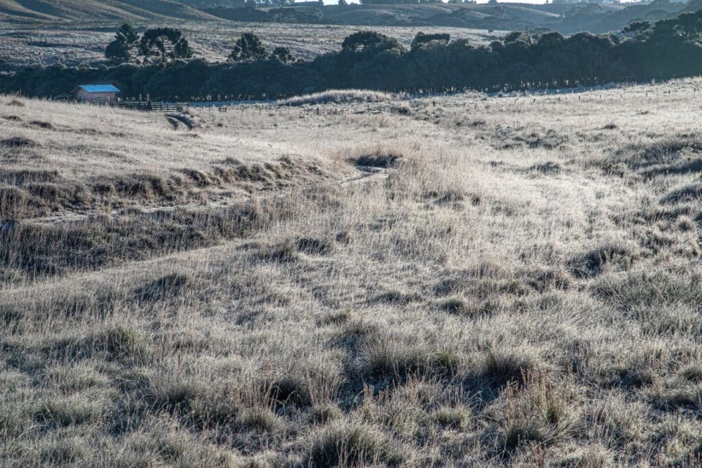 Inverno no RS será menos chuvoso, mas com frio intenso